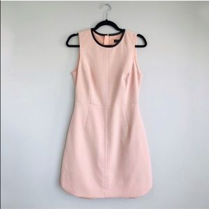 Banana Republic | Structured Pink Career Dress